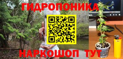 крисы Малгобек