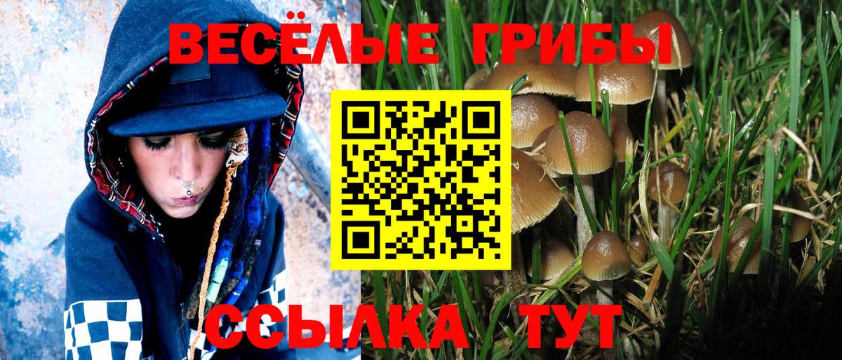 Галлюциногенные грибы мицелий  Вход с VPN  купить   Благовещенск 